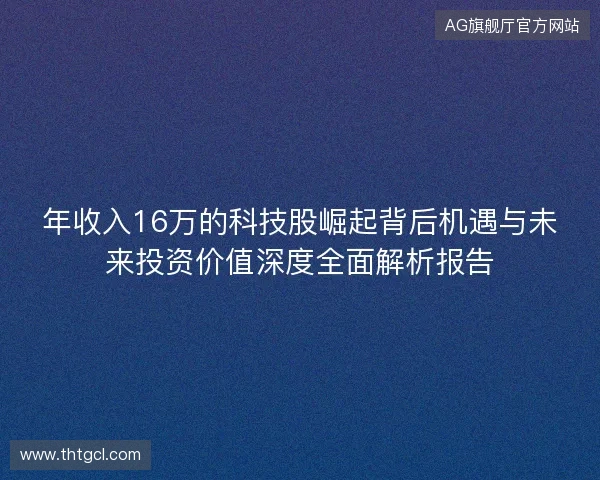 年收入16万的科技股崛起背后机遇与未来投资价值深度全面解析报告